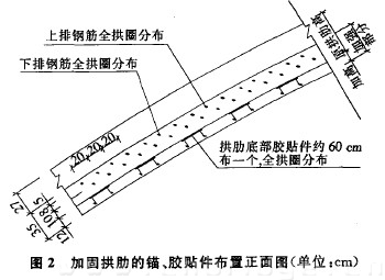 圖2 加固拱肋的錨、膠貼件布置正面圖（單位：cm）